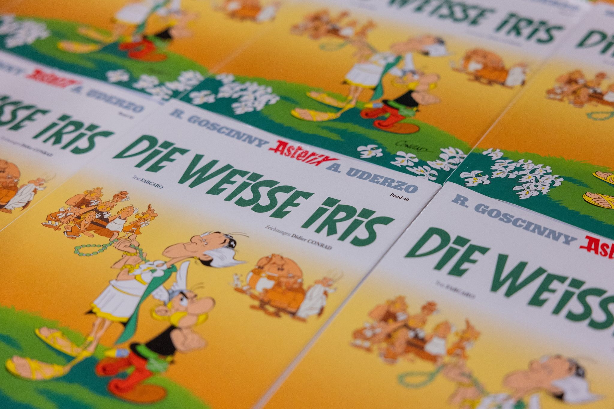 Ausgaben des neuen Asterix-Bandes mit dem Titel «Die weiße Iris» werden in einer Logistikhalle konfektioniert und in Displays für den Einzelhandel verpackt.