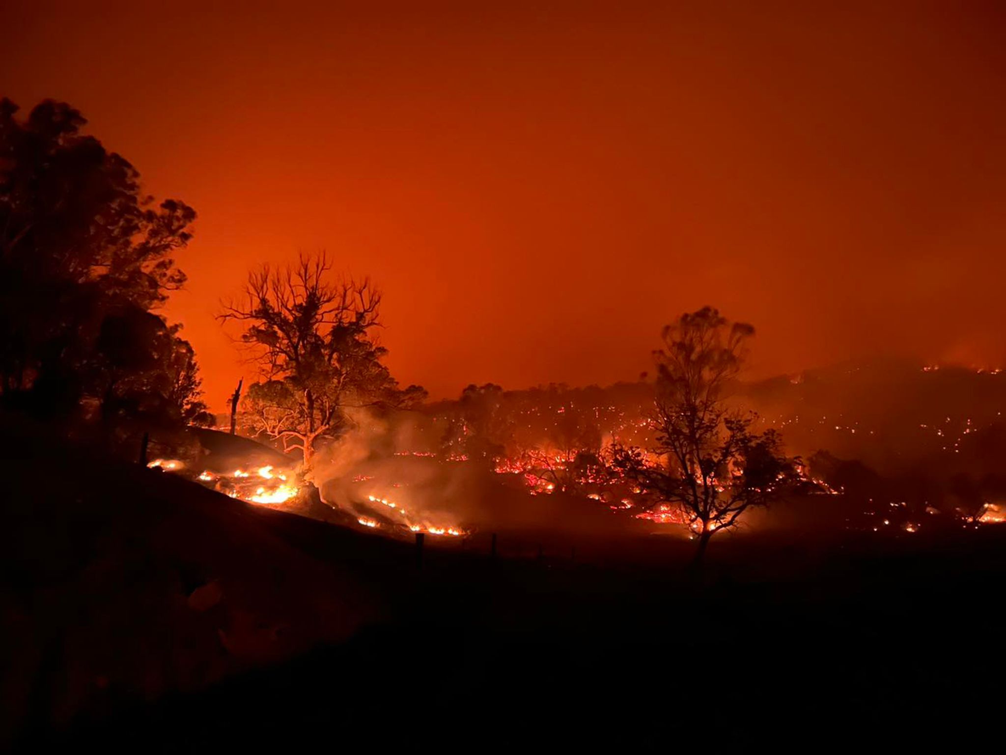 Das Buschfeuer nahe Kempsey nordöstlich von Sydney.