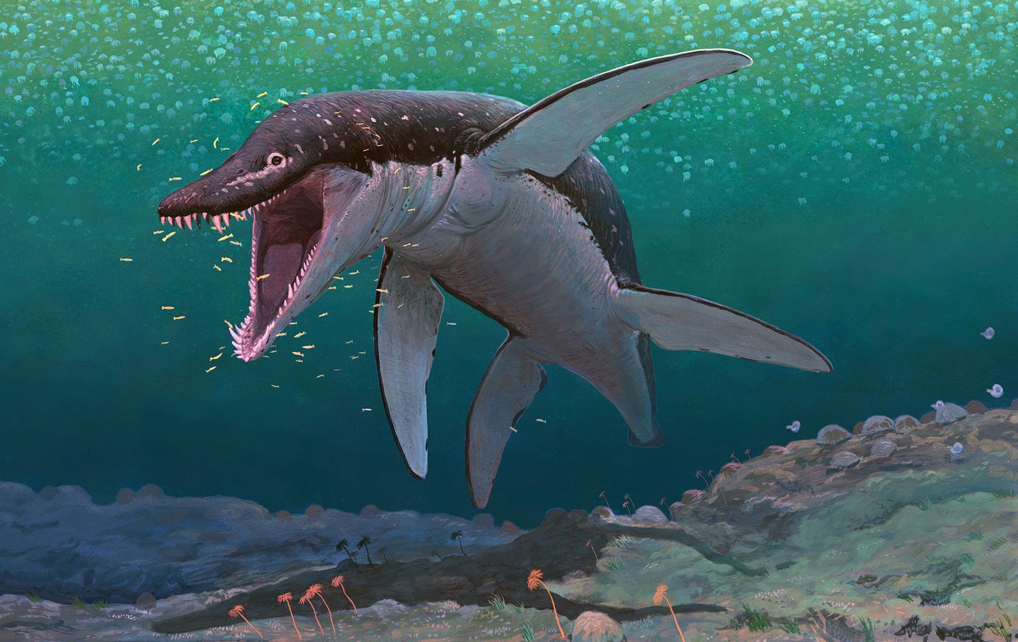 Der Lorrainosaurus gehört zu den ältesten bekannten Mega-Pliosauriern.