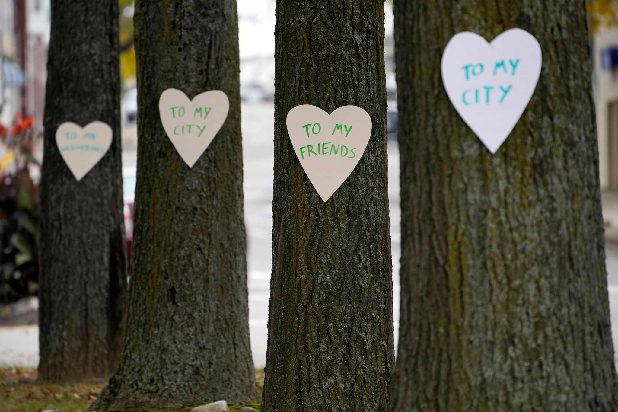 Papierherzen mit positiven Botschaften schmücken nach der Schusswaffenattacke mit 18 Toten Bäume in der Innenstadt von Lewiston. Die Schilder sind einige der 100 Herzen, die eine Frau aufgehängt hat, um ihre Unterstützung für die Gemeinschaft zu zeigen.