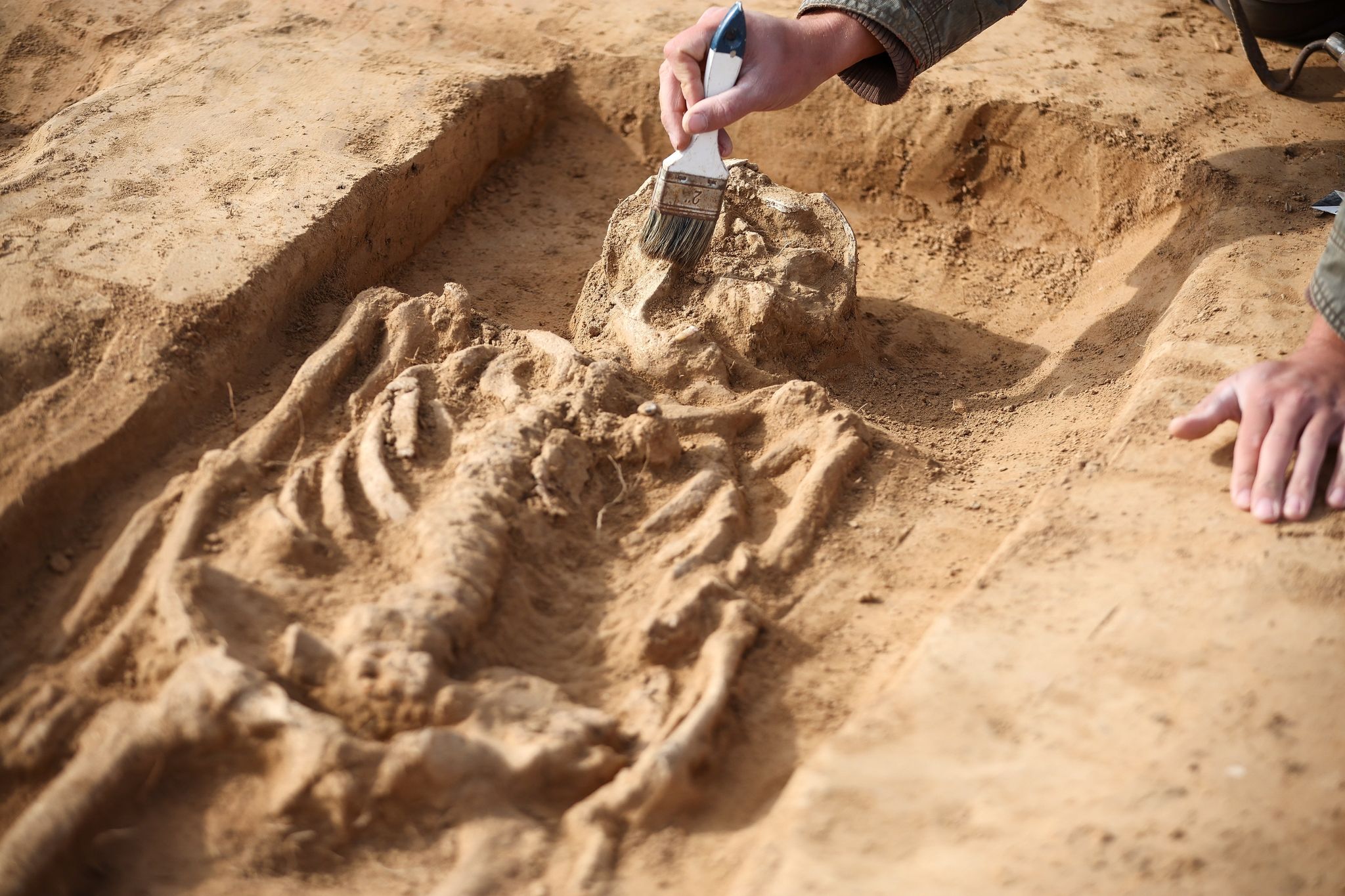 Bei Grabungen auf dem Gelände der Königspfalz Helfta wurden auch zwei Gräber aus dem 9. Jahrhundert freigelegt.