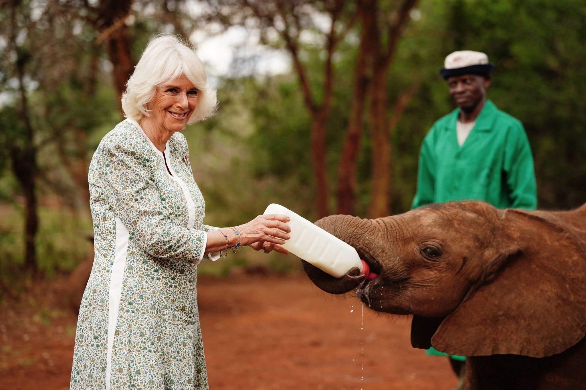 Königin Camilla (l) füttert ein Elefantenbaby beim Besuch im Nairobi-Nationalpark.