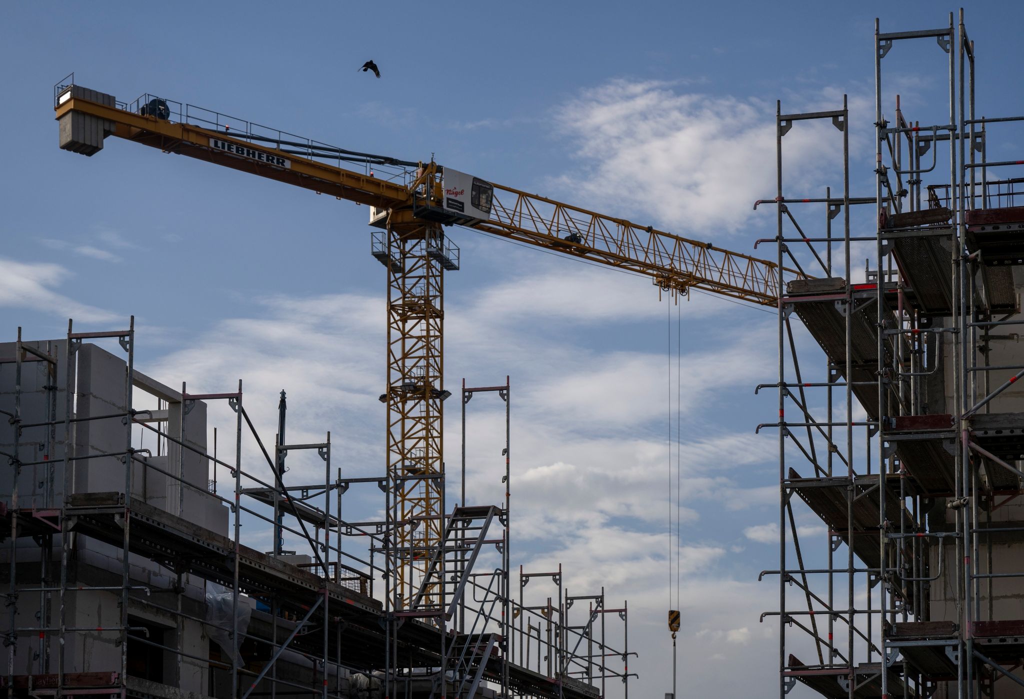 Ein Turmdrehkran ragt in den Himmel auf einer Baustelle: Das Baugewerbe ist vom Fachkräftemangel besonders stark betroffen.
