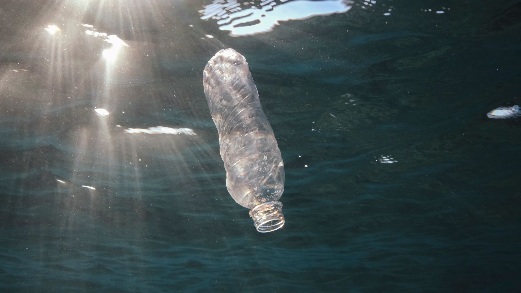 Eine weggeworfene Plastikflasche treibt im Roten Meer vor Ägypten.