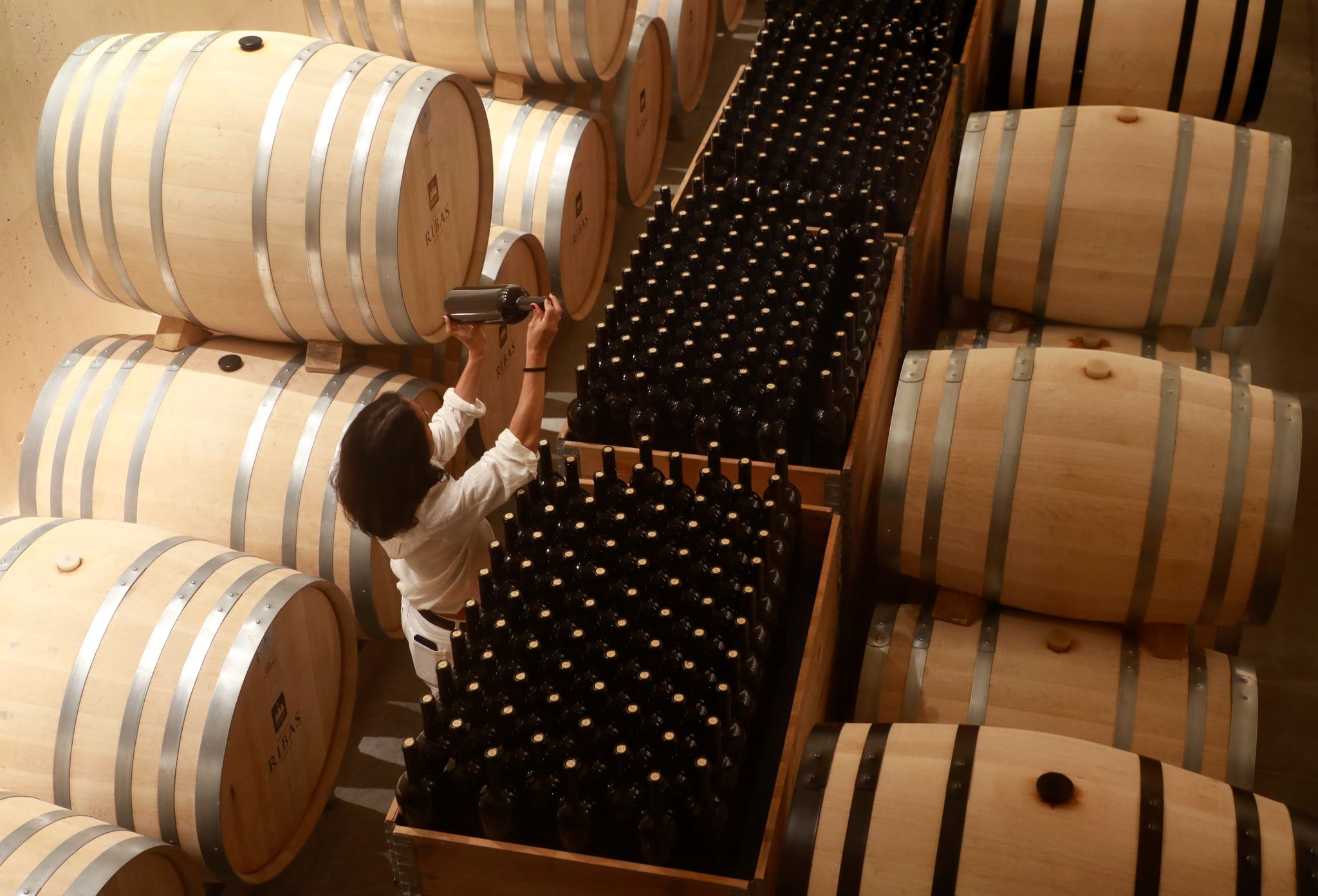 Wein in Fässern und Flaschen: Die Produktion könnte einer Branchenschätzung zufolge in diesem Jahr auf den niedrigsten Stand seit 60 Jahren zurückgehen.