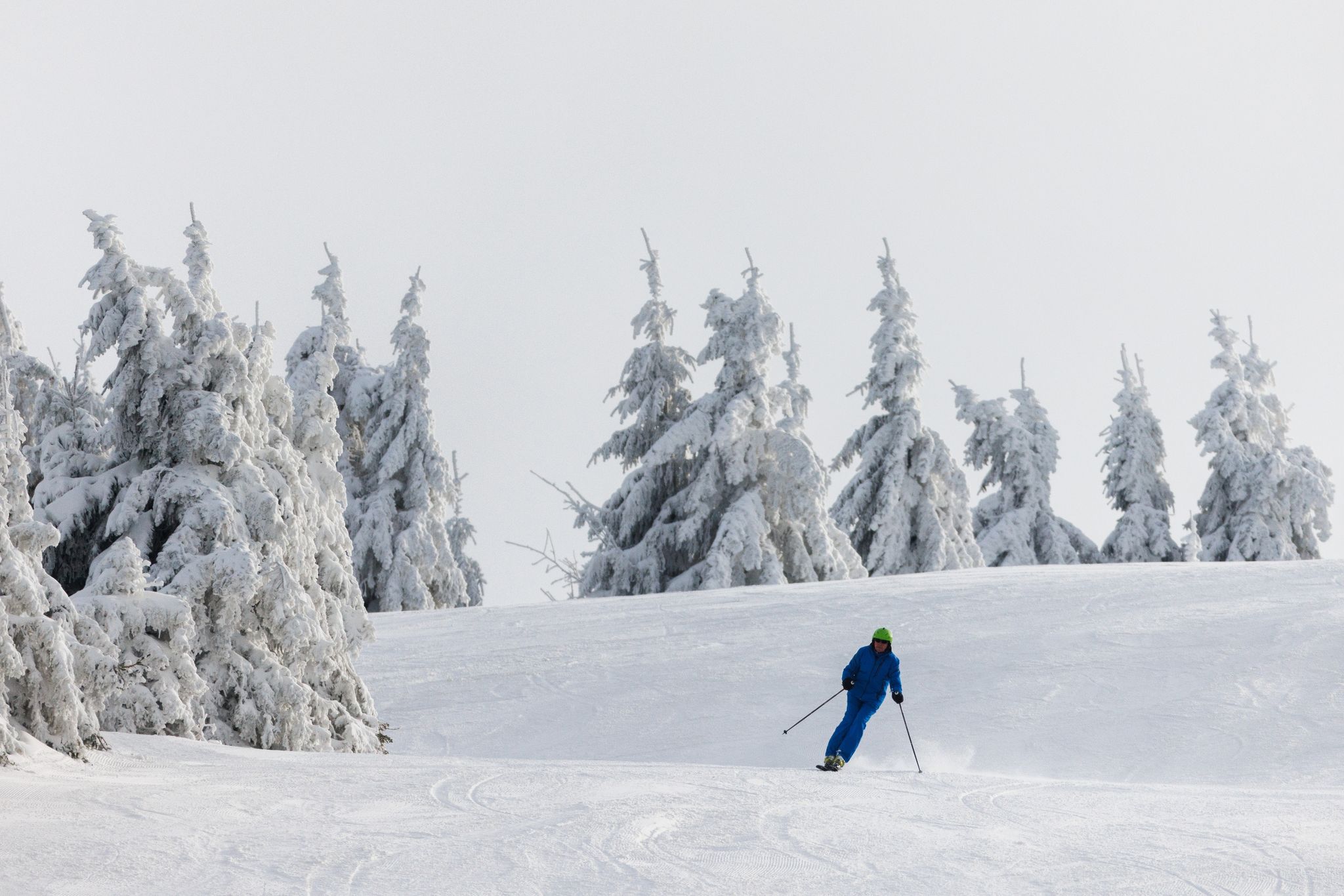 Ein Wintersportler fährt auf Skiern eine Piste hinunter.