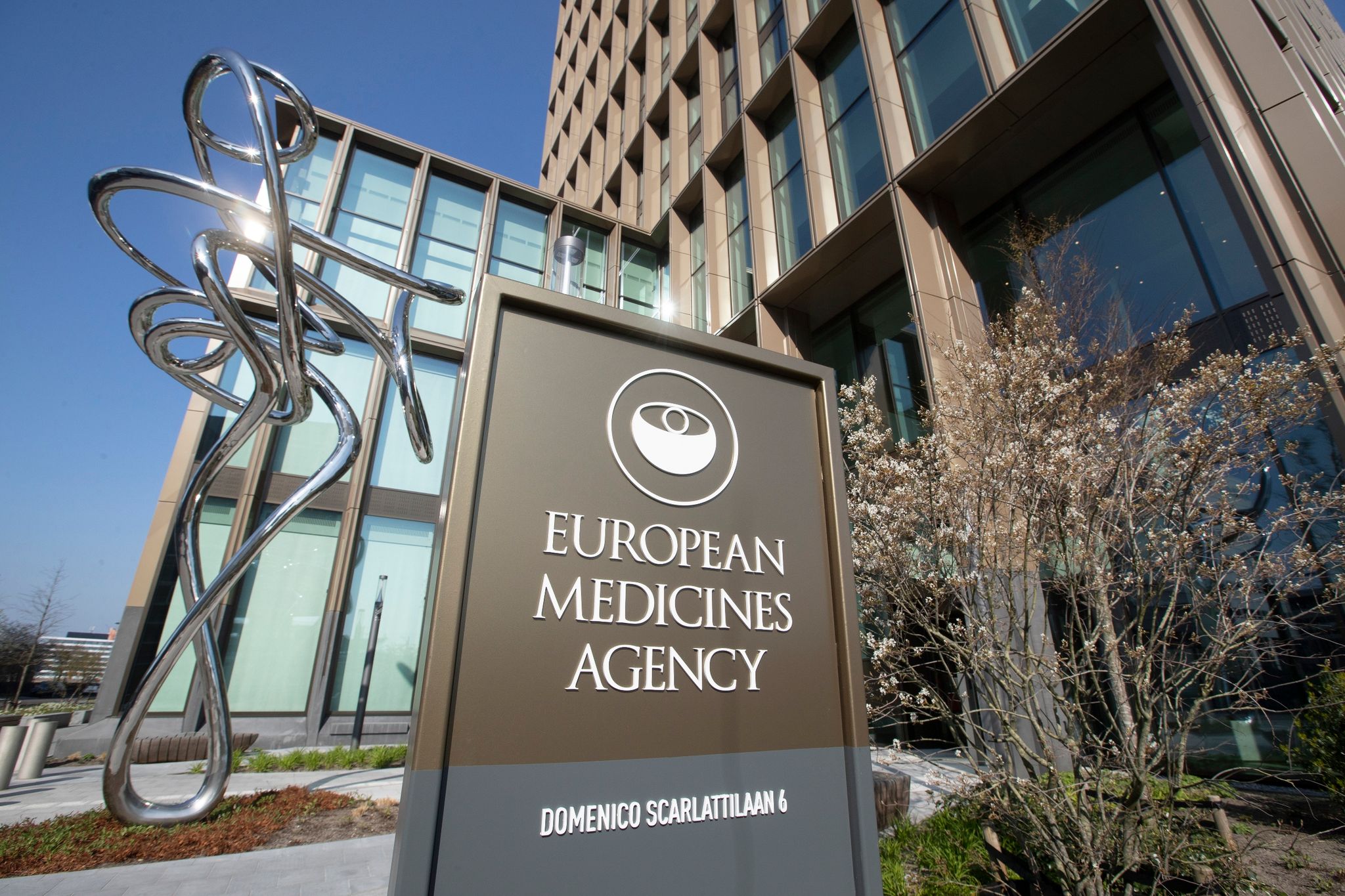 Die EU-Arzneimittelbehörde EMA in Amsterdam hat den Weg frei gemacht für die Zulassung eines Therapieansatzes auf Basis der Genscheren-Technologie.
