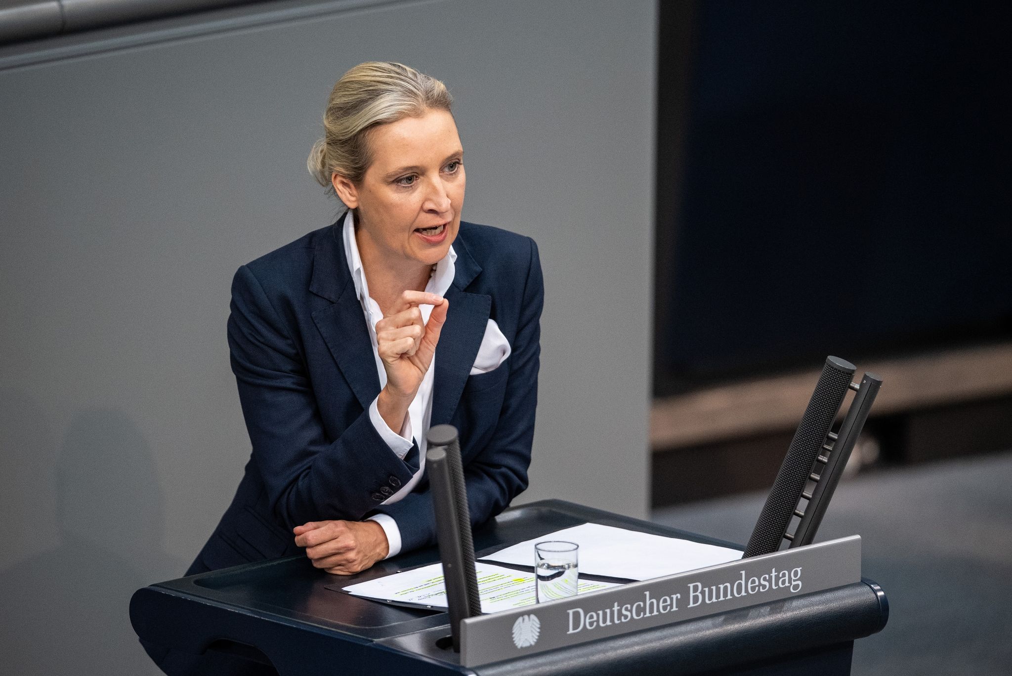 Die Universität Bayreuth prüft einen Plagiatsverdacht gegen AfD-Chefin Alice Weidel.