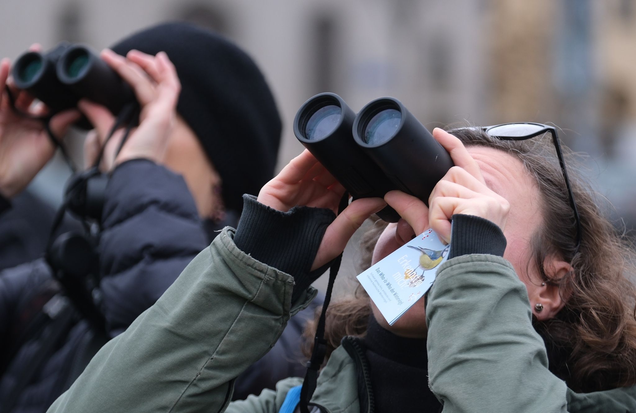 Bei der «Stunde der Wintervögel» können Bürgerinnen und Bürger wieder eine Stunde lang Vögel beobachten.