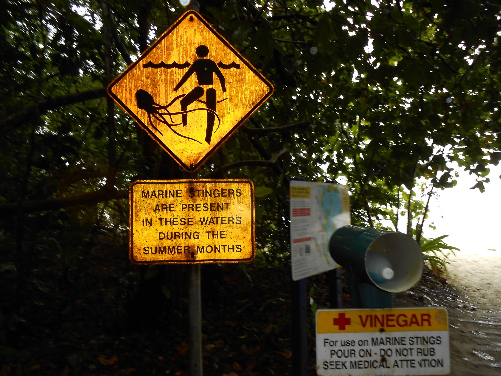 Schilder warnen vor giftigen Quallen: Normalerweise leben Irukandjis eher in tropischeren Gewässern im hohen Norden. Nun sorgen sie für Probleme auf der australischen Urlaubsinsel K'gari (früher Fraser Island).
