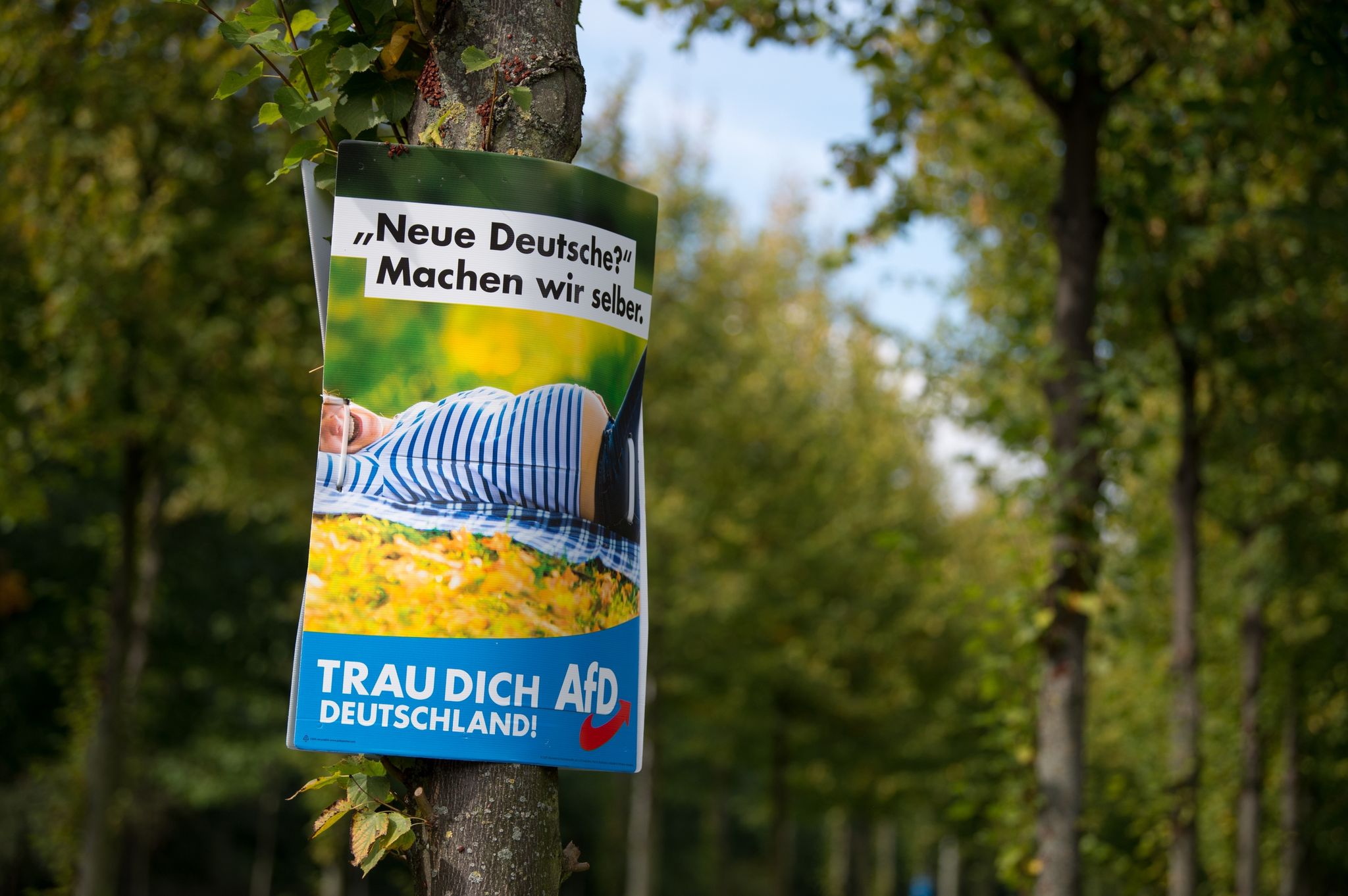 Ein AfD-Wahlplakat aus dem Jahr 2017 in Dresden.