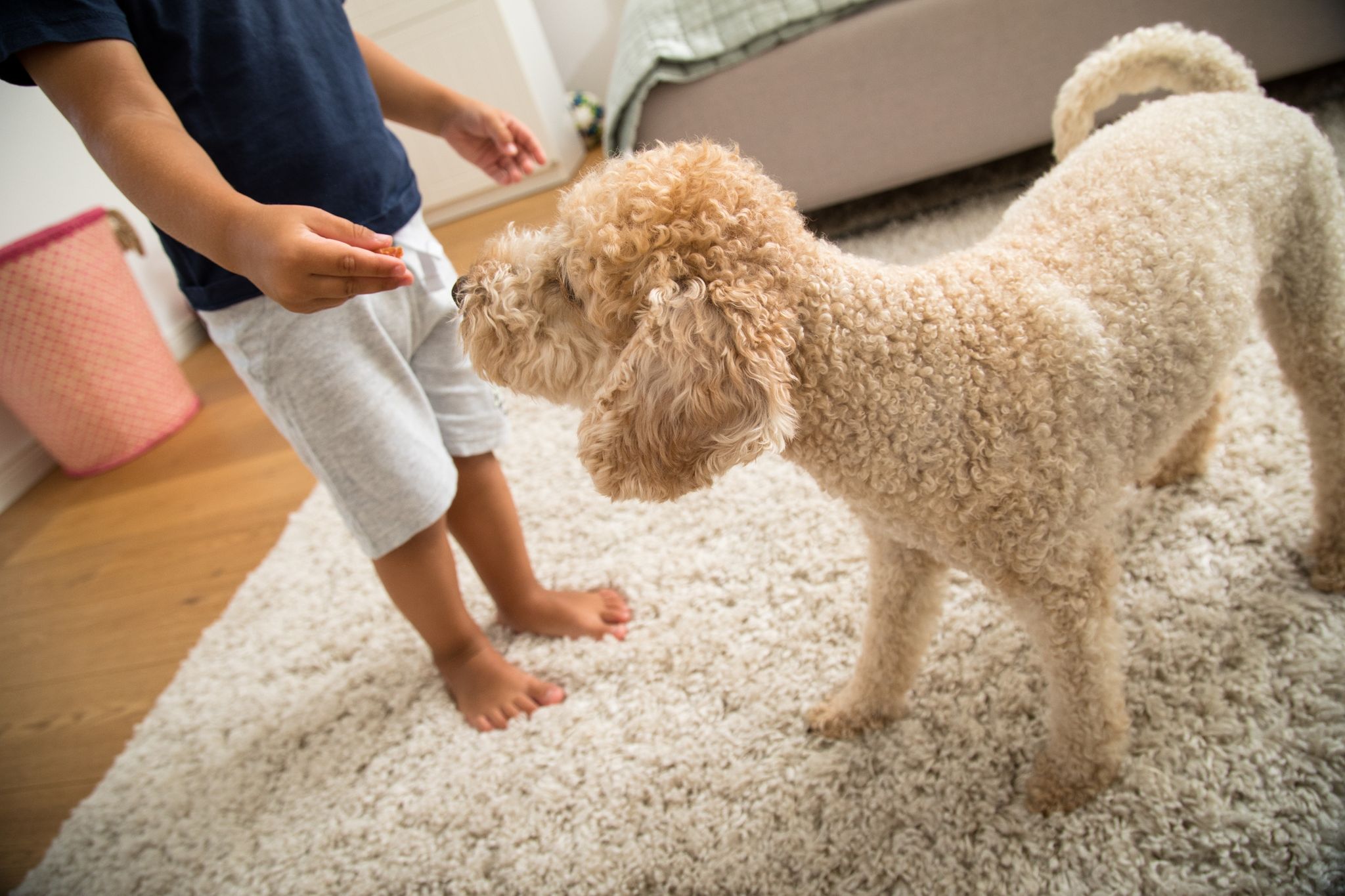 Viele Kinder schaffen es nicht, sich jeden Tag ausreichend körperlich zu betätigen. Ob ein Hund im Haus da helfen kann?