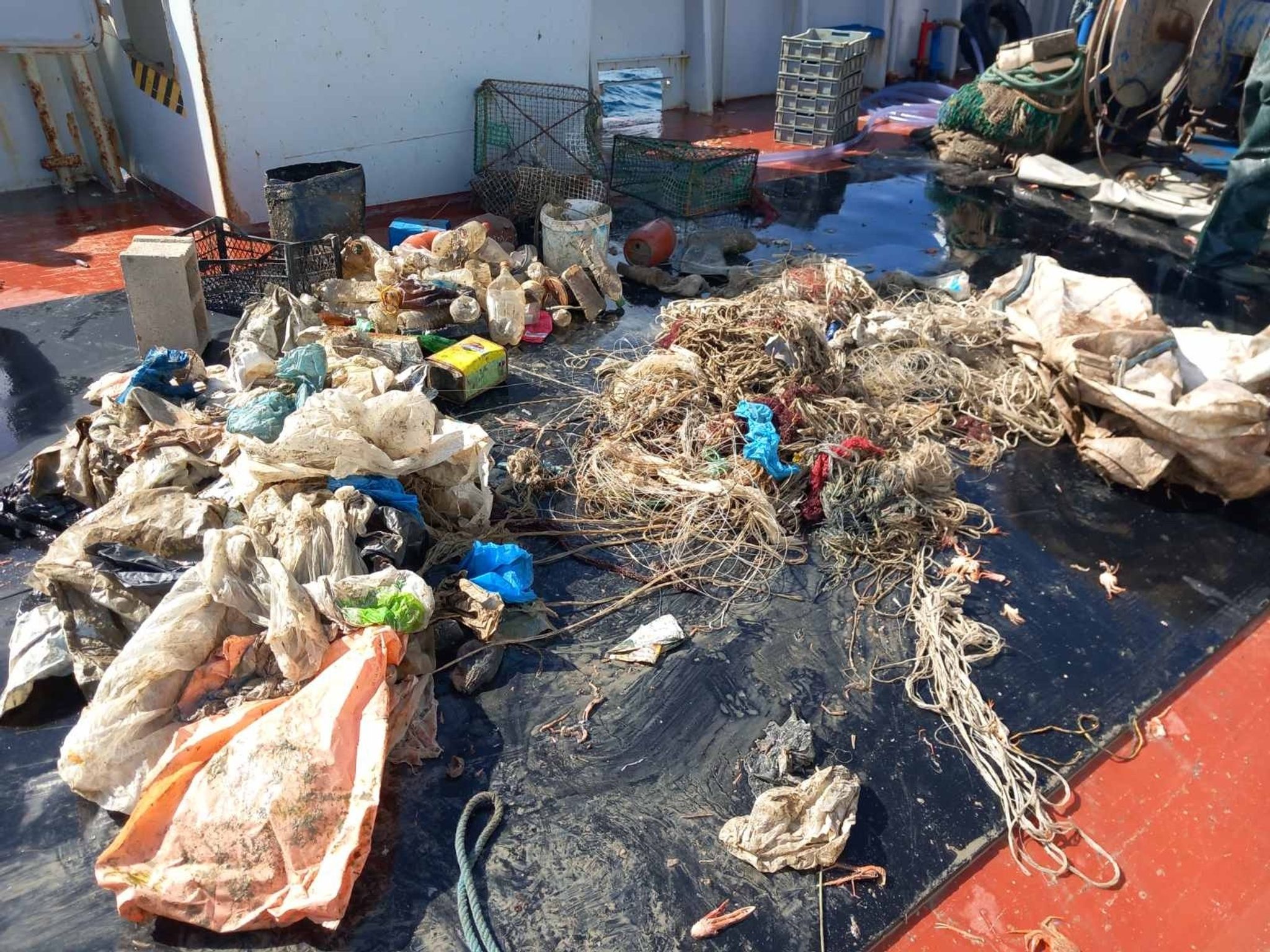 Müll, der aus dem Meer gefischt wurde.