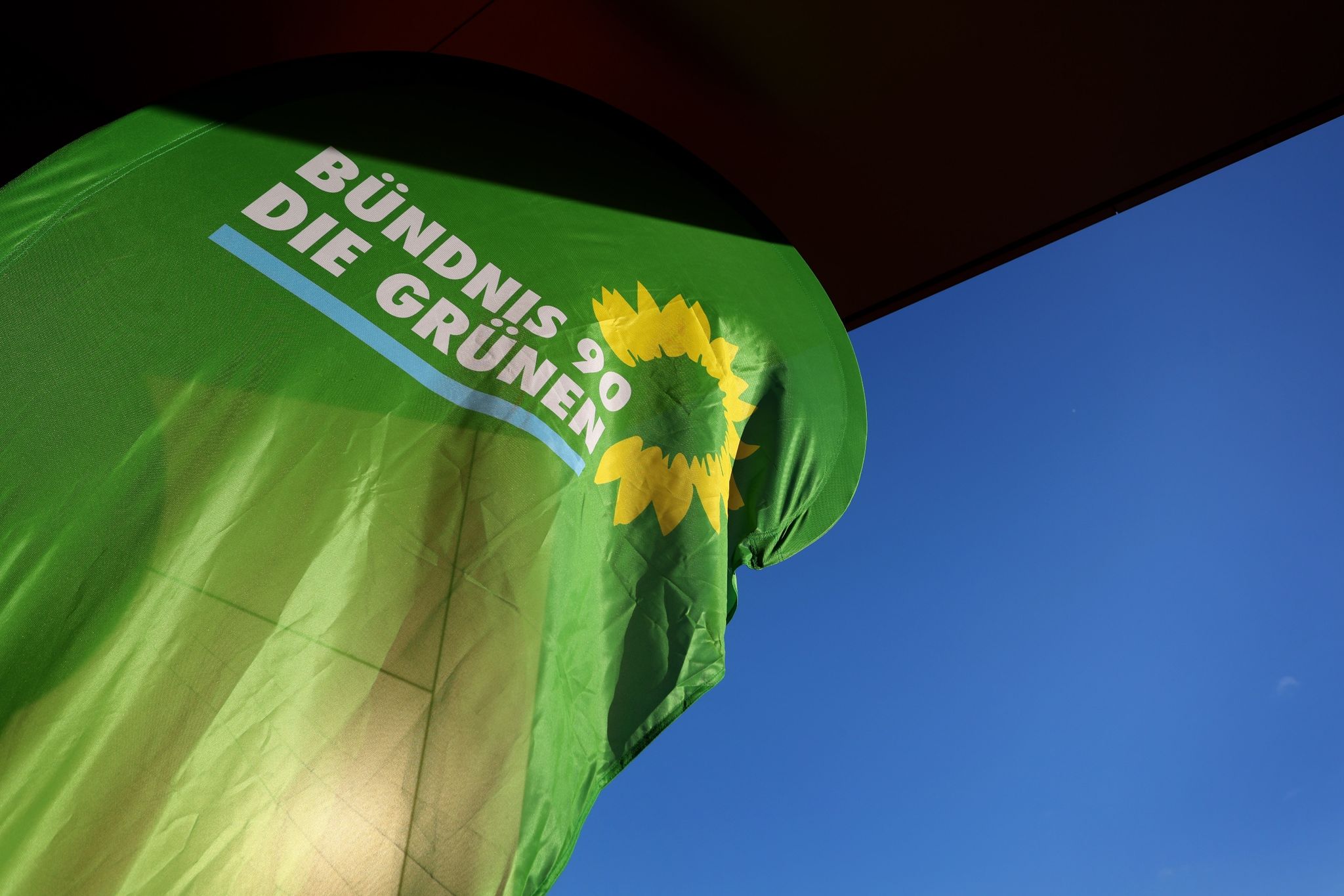 Die Grünen haben zu Jahresbeginn eine Eintrittswelle verzeichnet.