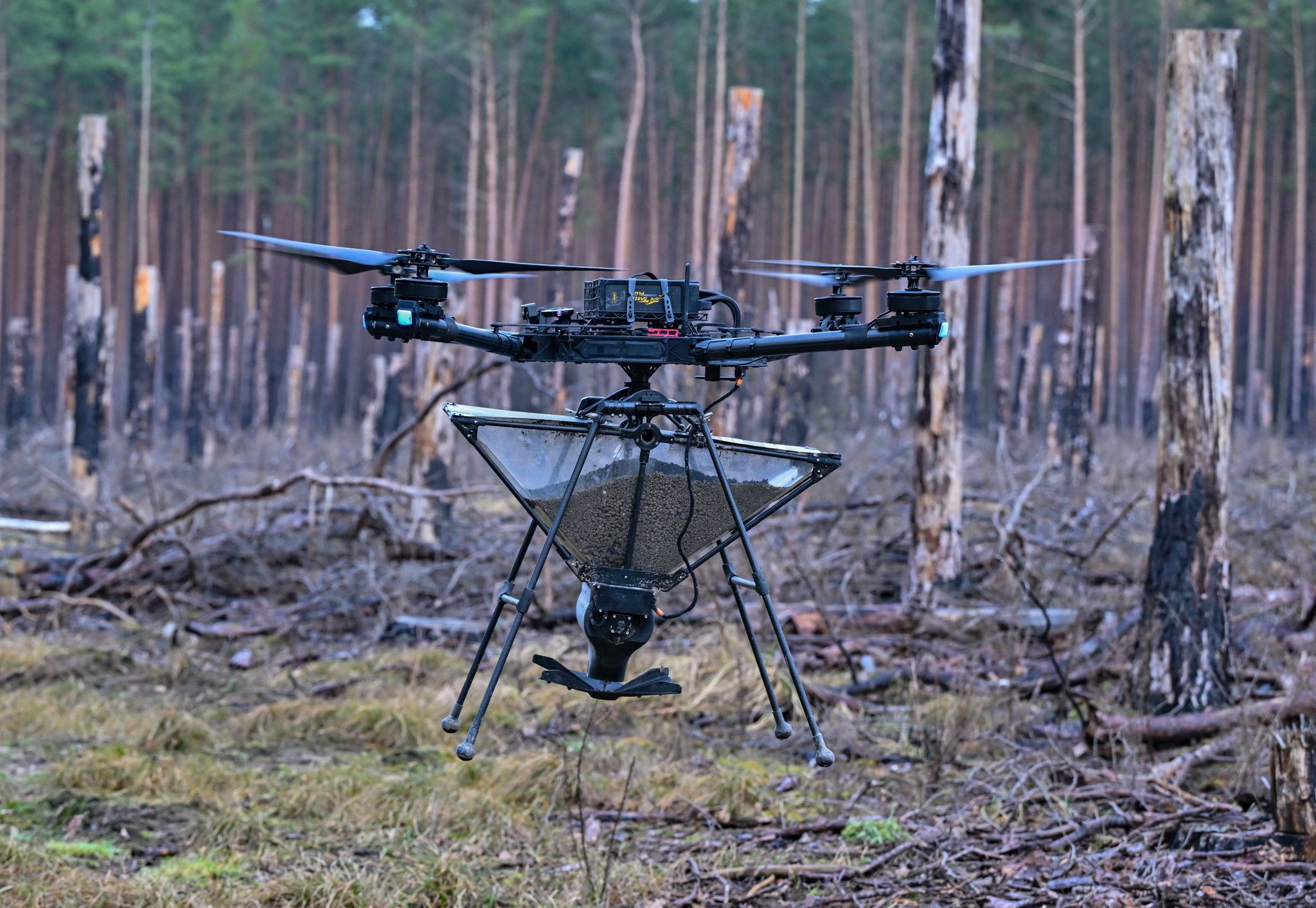Eine Drohne trägt einen Behälter mit Saatgut, das als Pellets präpariert worden ist.