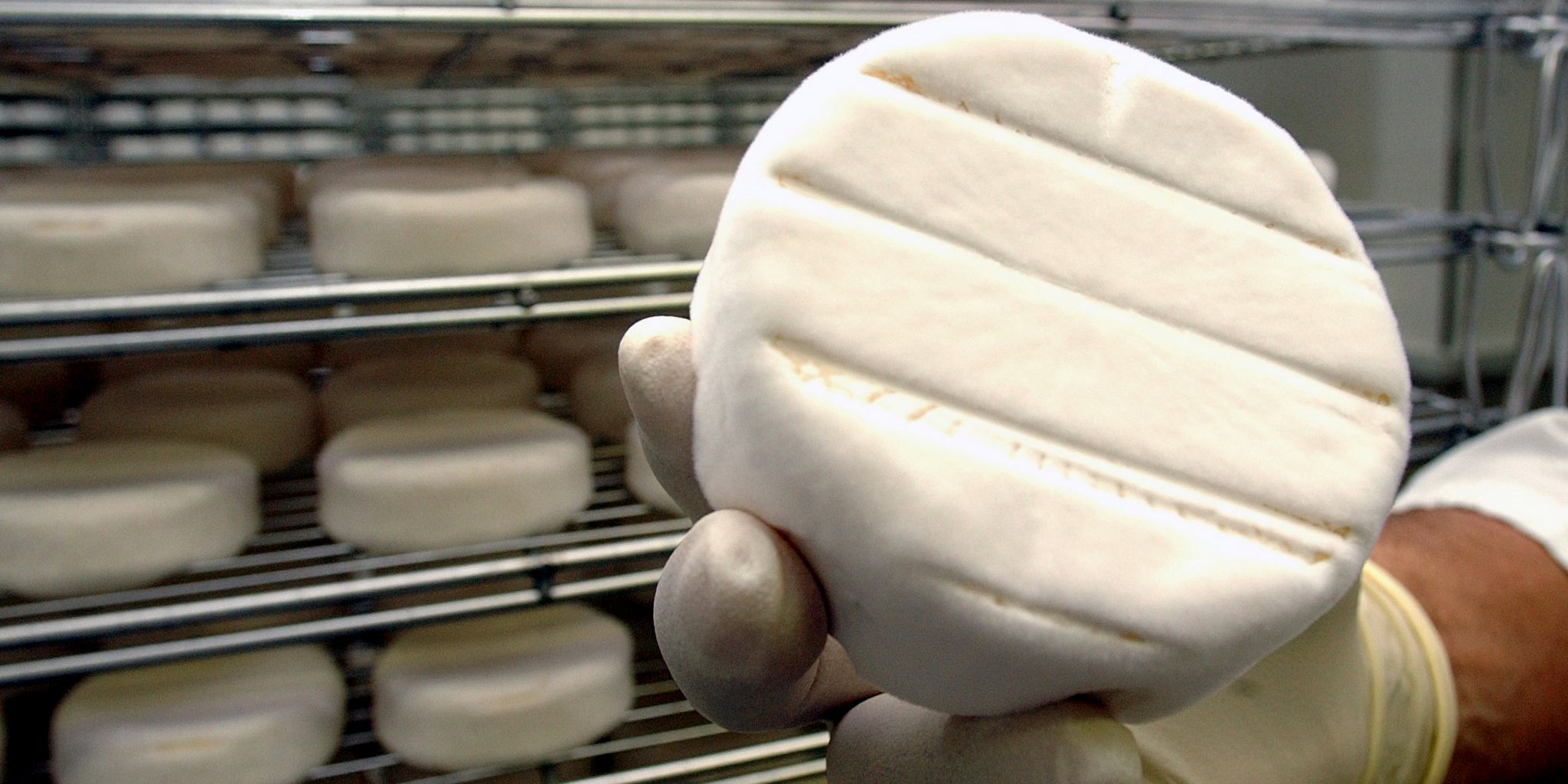 Es wäre möglich, Camembert mit anderen Pilzstämmen zu fermentieren.