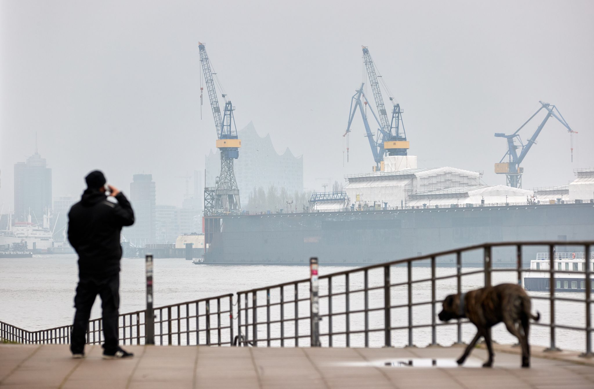 Blick auf den Hamburger Hafen: Nach vorläufigen Daten schrumpfte die Wirtschaftsleistung im vierten Quartal zum Vorquartal um 0,3 Prozent.